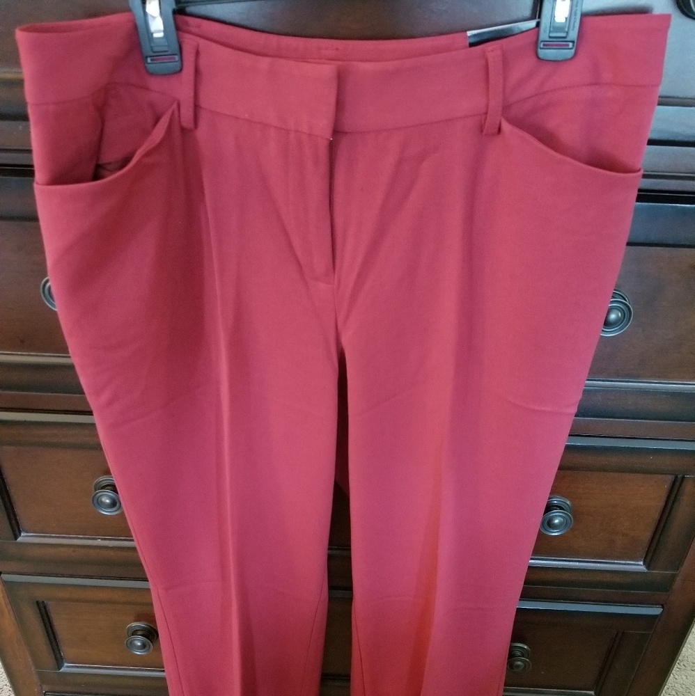 Lane Bryant Slacks